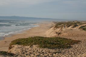 Coast Beach Sand