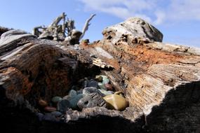 Rocks Driftwood Sky