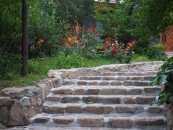 Garden brick Stairs Background