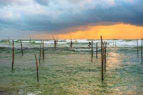 Sri Lanka Travel Country