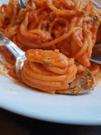 Tomato delicious noodles