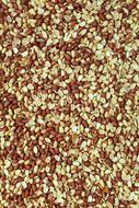 tasty healthy nuts harvest