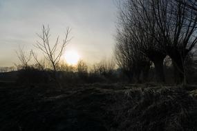 The Sun Sunset Evening