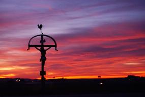 a magnificent sign with a bird on a sunset background