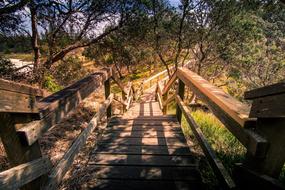 Bridge Vacancy Travel