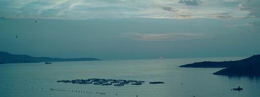 Sunset Sea Nature