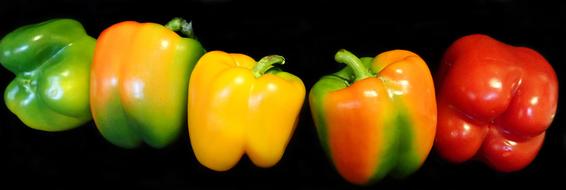colored peppers on a black background