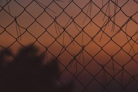 Chains Sunset Orange