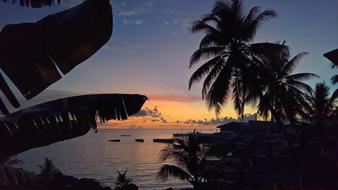 Sunset Beach The Sea