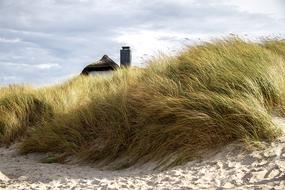 Ahrenshoop Baltic Sea Fischland