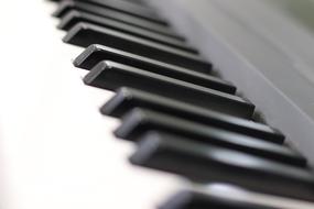 Keyboards Piano macro photo