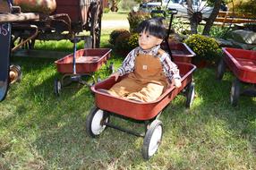 doll cart in the park