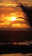 Sun Sunset Nature
