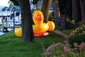 Pool Float Floaty Animal