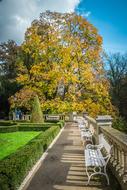 Konopiště Castle Park