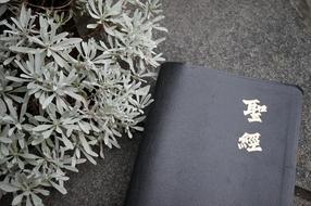 Bible Reading Quiet Time