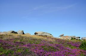 Perros-Guirec Pink Granite Britain