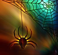 spider web cobweb insect halloween