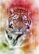 tiger cat predator art