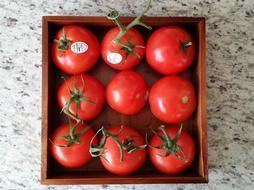 Juicy tomatoes in a wooden box