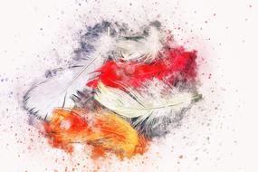 feathers bird art abstract