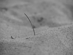 Sand Sea Beach