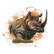 rhino animal africa nature mammal