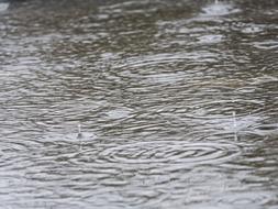 Rain Thunderstorm Raindrop