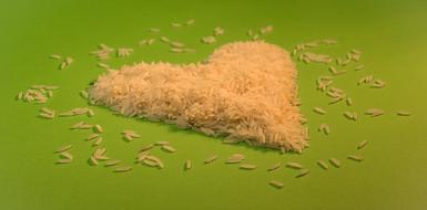 cute rice heart