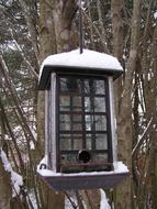 Snow Bird Feeder Winter