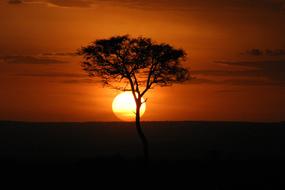 Masai Mara Sunset Kenya