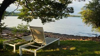 Sea Tree Beach Chair