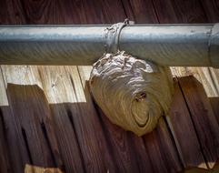 The Hive Nest Gutter