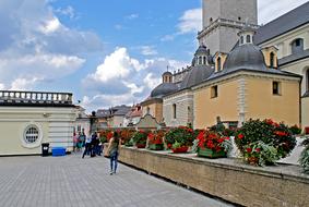 flowers on the background of buildings street