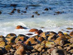 Seashore Sea Beach