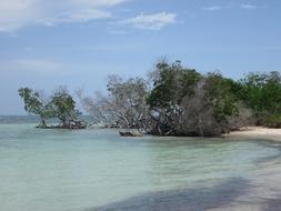 Beach Water