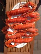 Boiled lobsters on the table