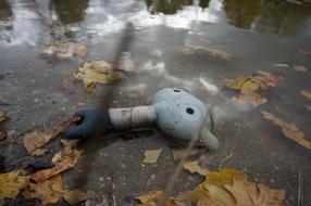 a toy thrown into the water