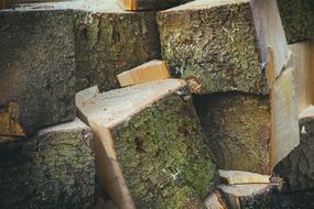 Wood Firewood Holzstapel