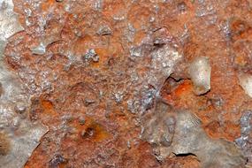 Rust Texture Metal