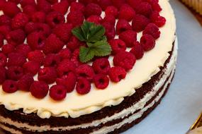 Cake Berry Raspberry