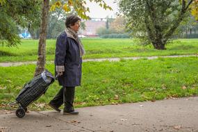 a woman with a bag walks by the grass