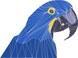 geometric pattern, blue parrot