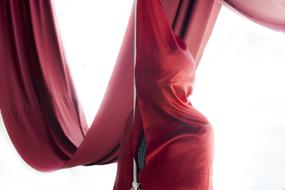 A Thousand Thong Article