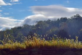 Morning Stone Wall Sunlight