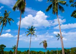 Koh Samui Beach Sea