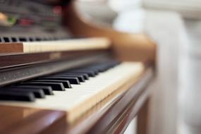 Organo Music keys