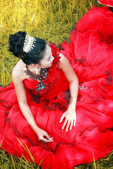the girl in the red dress and the crown