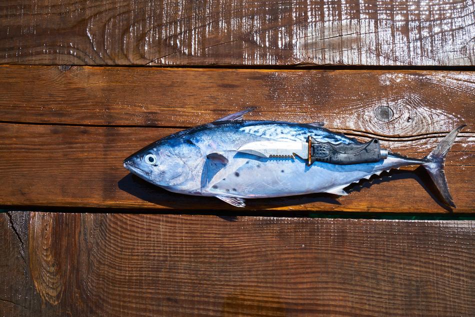 Fresh fish on a wooden table