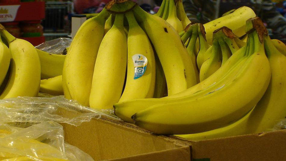 Tasty juicy yellow bananas